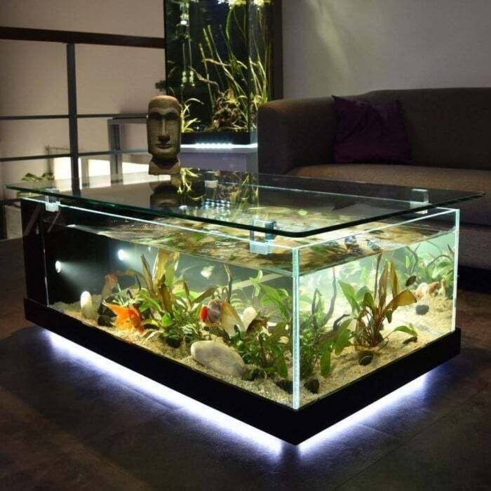 Table aquarium coffee sale